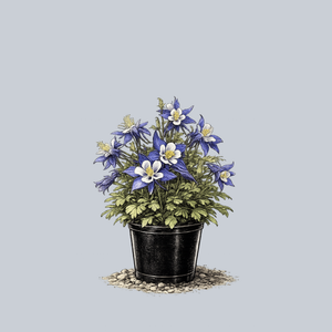 Kirigami Deep Blue and White Columbine