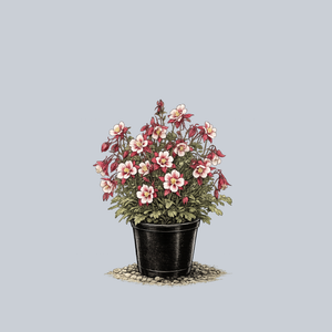 Kirigami Red and White Columbine