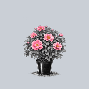 Kolorscape Flamingo Rose