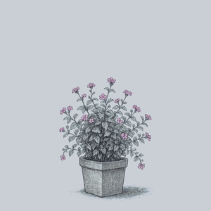 Lavender Swirl Lantana