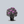Load image into Gallery viewer, Lee's Dark Purple Rhododendron
