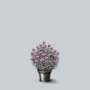 Lilac Lollipop Bee Balm