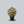 Load image into Gallery viewer, Lime Joy Stonecrop
