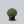 Load image into Gallery viewer, Marshall's #2 Boxwood
