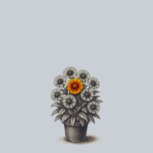 Mesa Bright Bicolor Blanket Flower