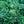 Load image into Gallery viewer, Moonshine Yarrow
