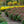 Load image into Gallery viewer, Florist�s Mum
