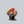 Load image into Gallery viewer, Nonstop Begonia
