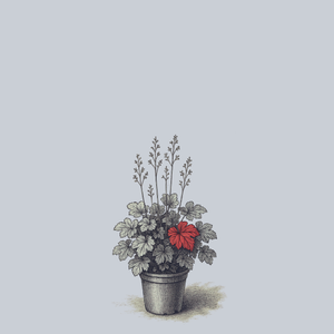 Northern Exposure Red Coral Bells