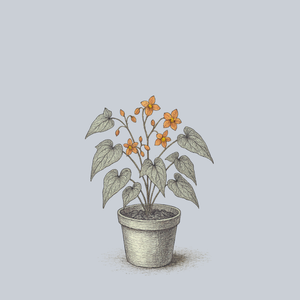 Orange Queen Barrenwort