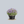 Load image into Gallery viewer, Orion Cranesbill Geranium
