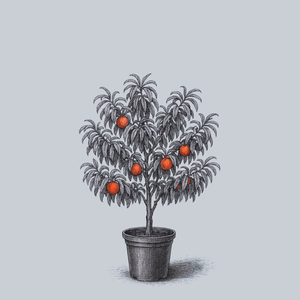 Peach Tree
