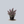 Load image into Gallery viewer, Pearl Glam Beautyberry
