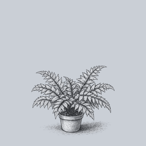 Pewter Lace Painted Fern