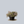 Load image into Gallery viewer, Pink Champagne Barrenwort
