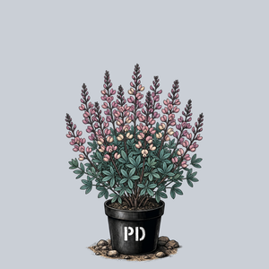 Pink Truffles False Indigo