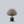 Load image into Gallery viewer, Powhatan Crape Myrtle
