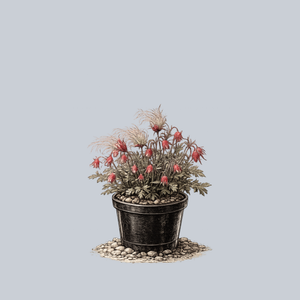 Prairie Smoke
