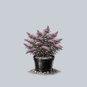 Pugster Pink Butterfly Bush