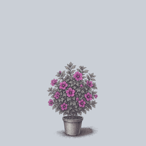 Purple Satin Rose of Sharon