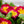 Load image into Gallery viewer, Primrose - Early Spring Other Perennials - Perennials
