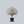 Load image into Gallery viewer, Redbud Crabapple
