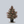 Load image into Gallery viewer, Red Cone Norway Spruce
