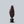Load image into Gallery viewer, Red Obelisk Beech
