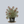 Load image into Gallery viewer, ReJoyce Coastal Doghobble
