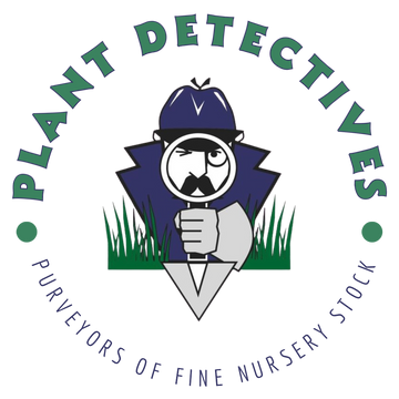 The Styrax Guide – Plant Detectives