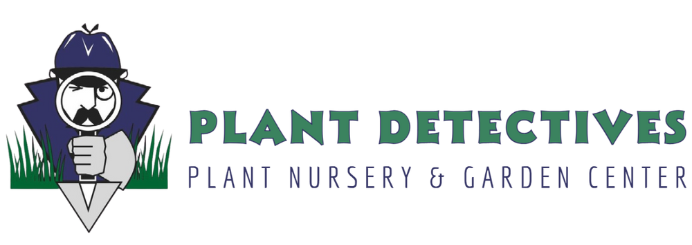 Plant Detectives