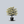 Load image into Gallery viewer, Rise 'N Shine Eastern Redbud
