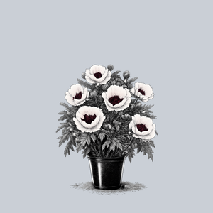 Royal Wedding Oriental Poppy