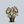 Load image into Gallery viewer, Royal Hawaiian Waikiki Elephant Ear
