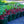 Load image into Gallery viewer, Raspberry Sundae Peony
