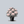 Load image into Gallery viewer, Scintillation Rhododendron
