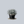 Load image into Gallery viewer, Silver Fox Mangave
