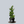 Load image into Gallery viewer, Slender Hinoki Cypress
