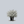 Load image into Gallery viewer, Snowmound Spirea
