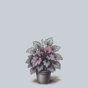 Spellbound Coral Bells