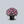 Load image into Gallery viewer, Spring Hot Pink Creeping Phlox
