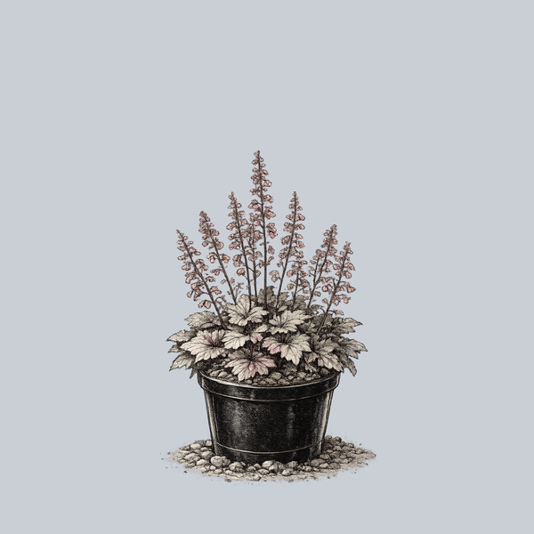 Stainless Steel Coral Bells