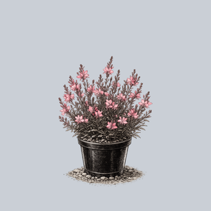 Steffi Dark Rose Wand Flower