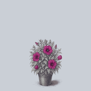 Summer Carnival Hibiscus