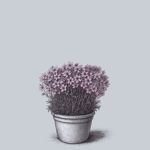 Summer Morning Delphinium