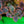 Load image into Gallery viewer, Wildfire Sedum - Sedum Succulents - Perennials
