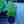 Load image into Gallery viewer, Spring King Sage
