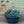 Load image into Gallery viewer, Succulent Mix - Succulents - Houseplants
