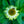 Load image into Gallery viewer, SunSeekers Apple Green Coneflower
