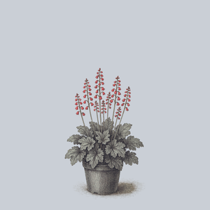 Timeless Treasure Coral Bells